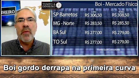 Boi gordo derrapa na primeira curva da entressafra com preços baixos para período