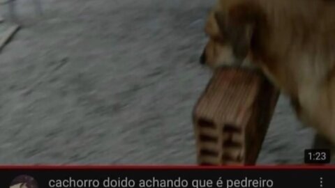 🔴Dotaralho da Magrudada