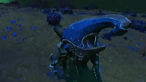 I got myself one of them newfangled animal mounts (No Man's Sky)