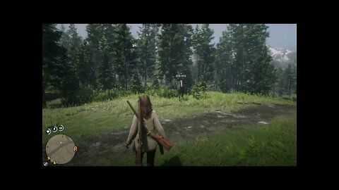 His name is Buck, he likes to...buck (Red Dead Redemption 2)