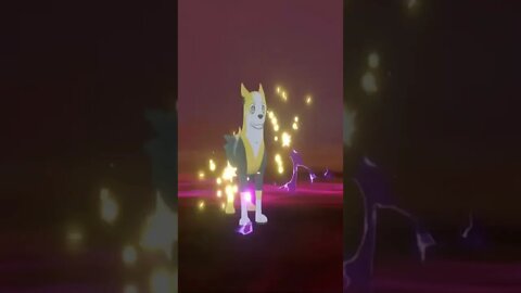 Pokémon Sword - Wild Hydreigon Used Outrage!