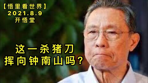 KWT2230这一杀猪刀挥向钟南山吗？20210809-5【悟里看世界】