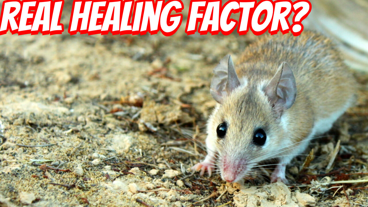 The Greatest Healing Adaptation In Nature!