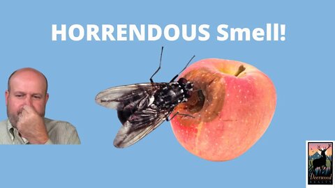 This smell is HORRENDOUS!....Deerwood Realty and Friends…Ep. 10