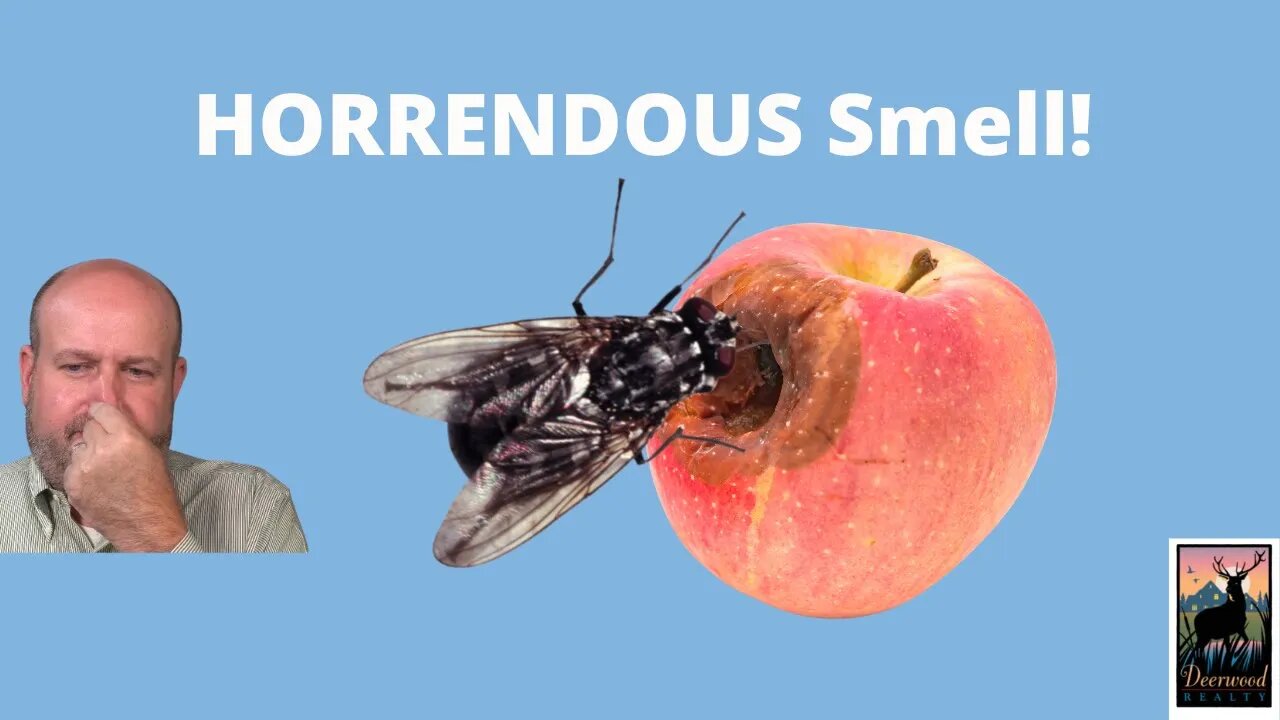 This smell is HORRENDOUS!....Deerwood Realty and Friends…Ep. 10