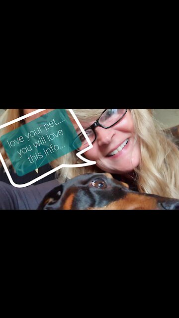 Friendly Places To Take Your Pet