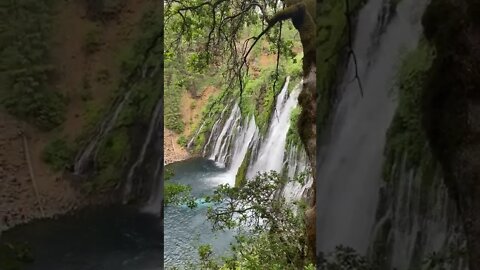 waterfall#naturelove#sounds#explore#shorts