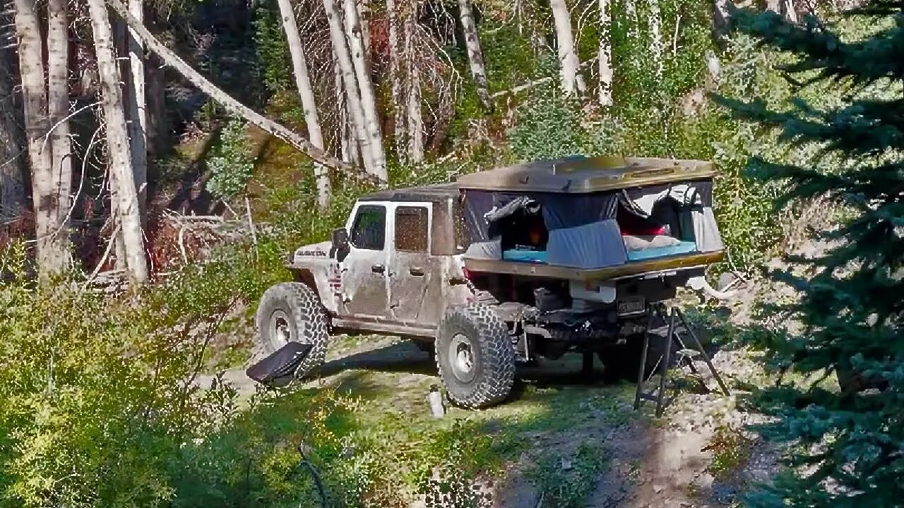 Living in my Jeep Gladiator Camping in the Forest of Colorado