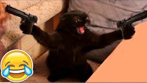 New Funny Animals 😂 Funniest Cats and Dogs Videos 😺🐶