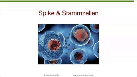 10.12.24🔝🧠👉Starke Schädigung der blutbildenden Stammzellen von Neugeborenen durch Spike