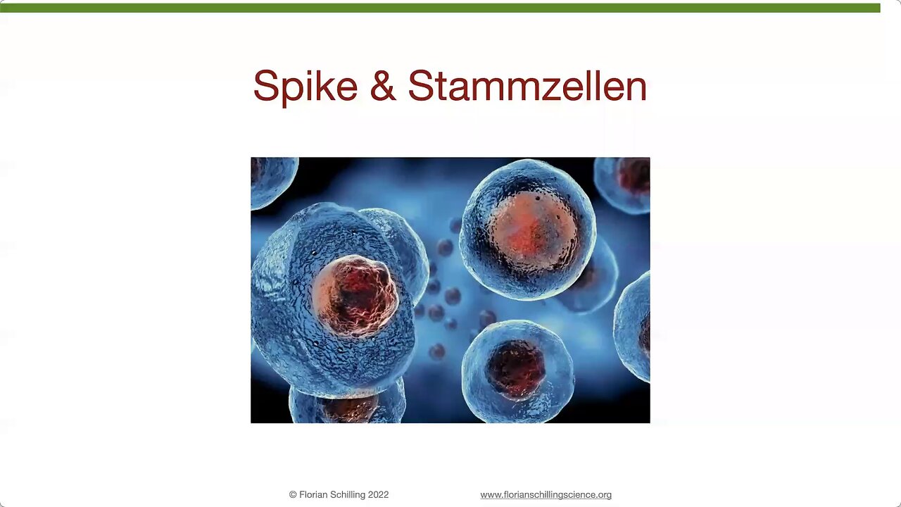 10.12.24🔝🧠👉Starke Schädigung der blutbildenden Stammzellen von Neugeborenen durch Spike