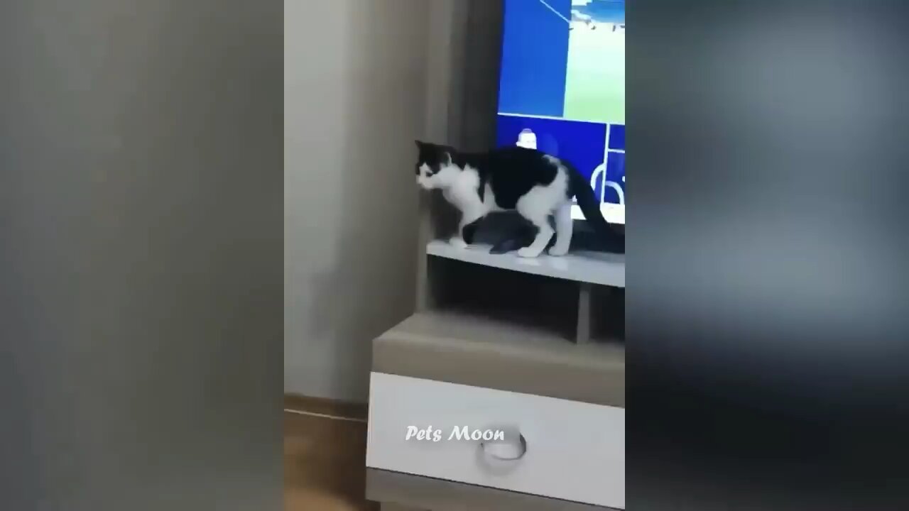 Funny 🤣 😂😂😂😂😂😄😄