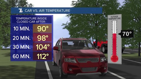 William Mattar - What happens when you sit in a hot car for a period of time