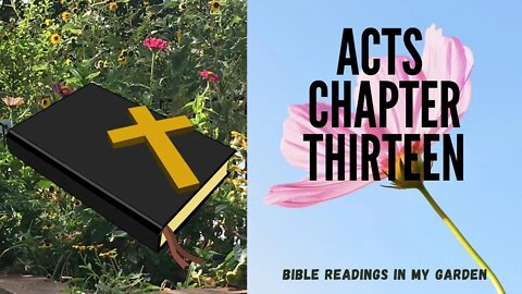 ACTS Chapter 13 | NRSV Bible
