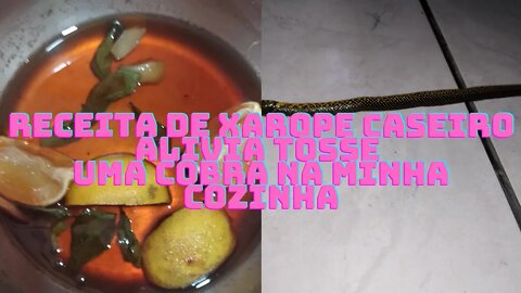 Receita de xarope caseiro para aliviar tosse- Uma cobra na minha cozinha