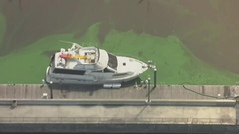 Toxic algae bloom at Pahokee Marina prompts health alert