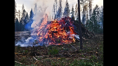 Nov. 8, 2024 Logging Fire