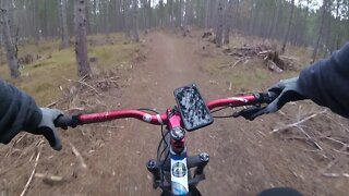 Days River Rippin 42 ( FATBACK RHINO )