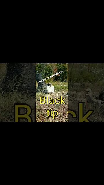 300 win mag AP rounds