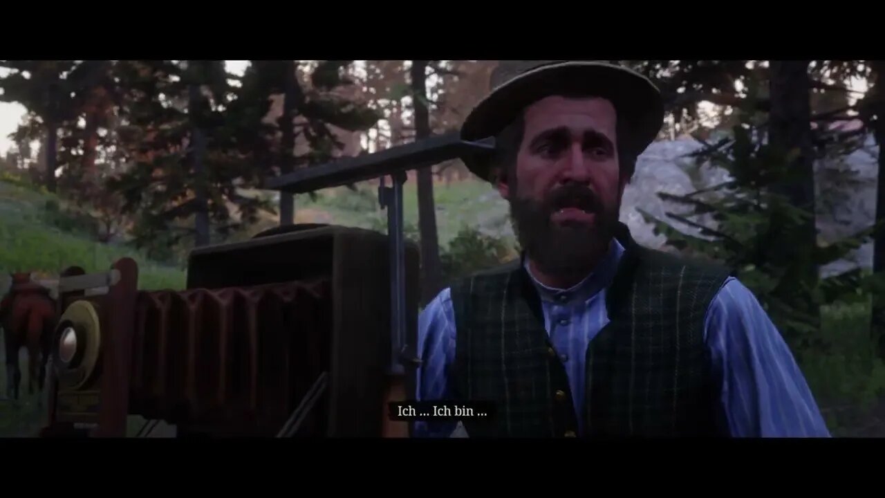 Red Dead Redemption 2 - Arcadia für Amateure