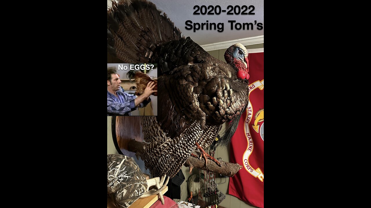 Family friendly Gobbler bowhunt’n