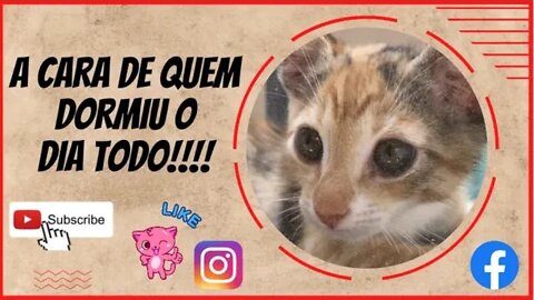 Triste ou sono ?