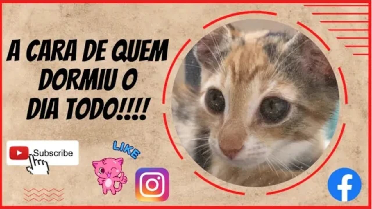 Triste ou sono ?