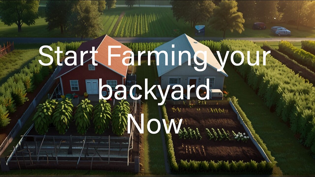 Learn to farm and be self sustainable before the collapse