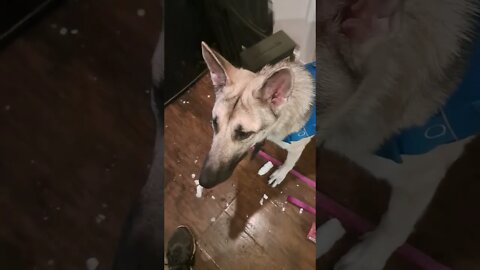 free ice for the doober