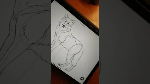How to draw Grey Wolf on iPad? 🐺 - Daily Art nr.107🖌️