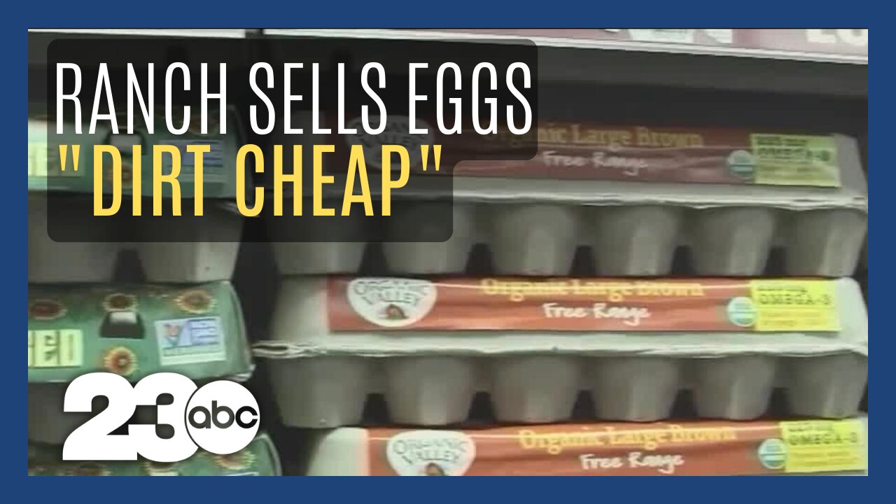 Bay area ranch sells eggs cheap during shortage