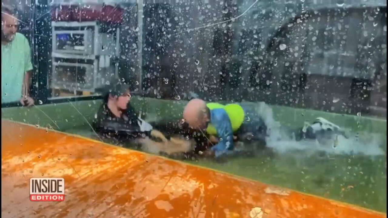 Man Jumps into Alligator Tank to Save Zoo Worker, and Wins the Fight