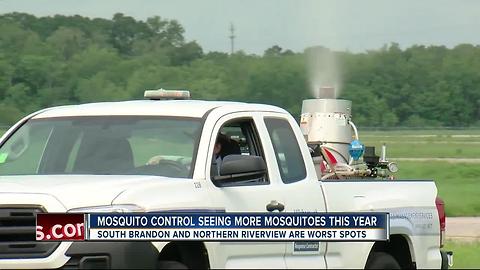 Hillsborough County seeing more mosquitoes in some neighborhoods