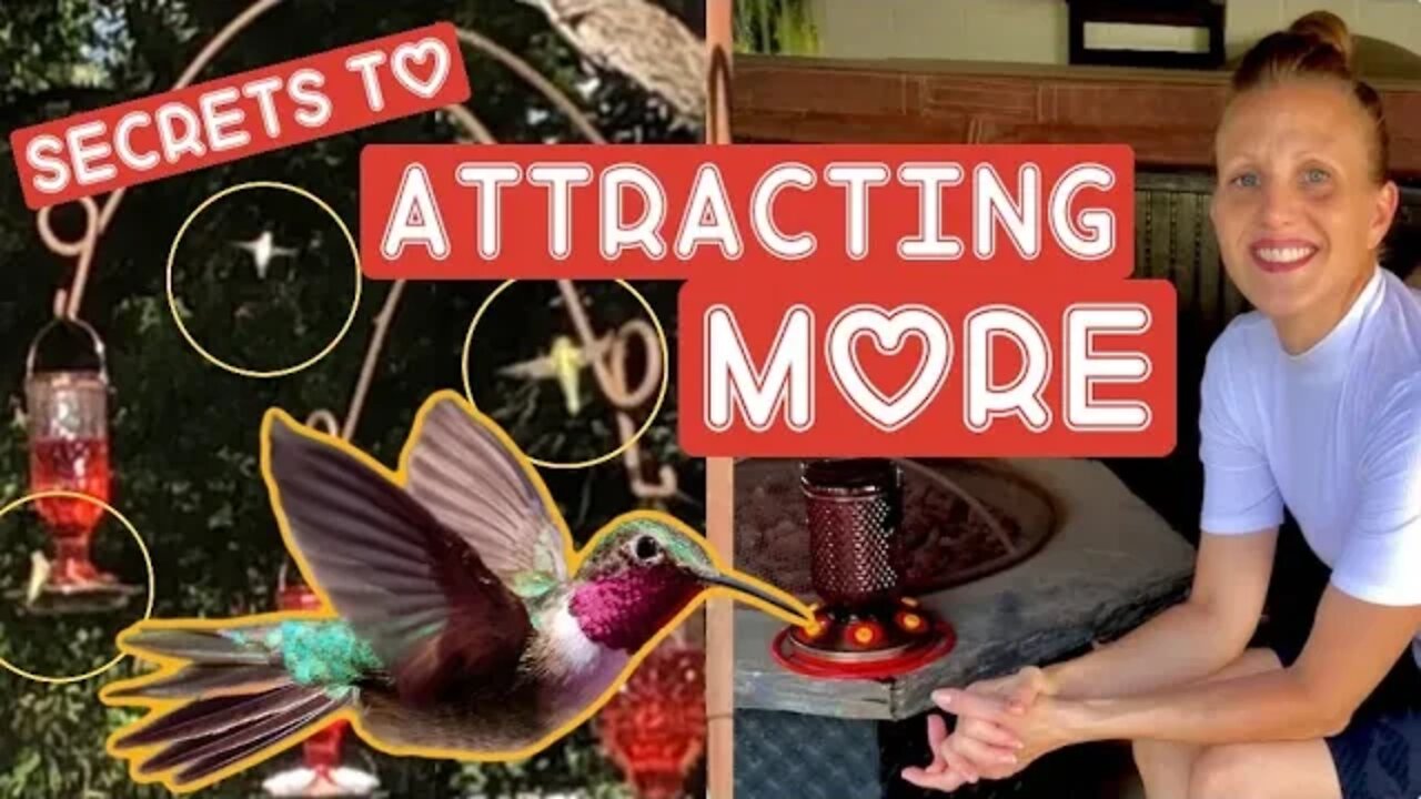 EZ Way To ATTRACT MORE Hummingbirds & Transform Your Garden #viral #tiktok #video