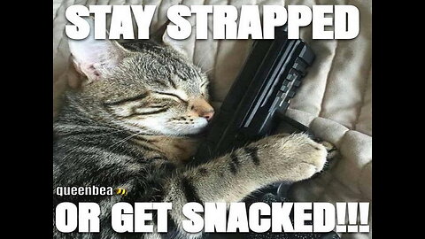 Fren News - Stay Strapped or get Snacked