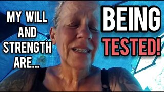 I'm Being Tested - Ann's Tiny Life and Homestead