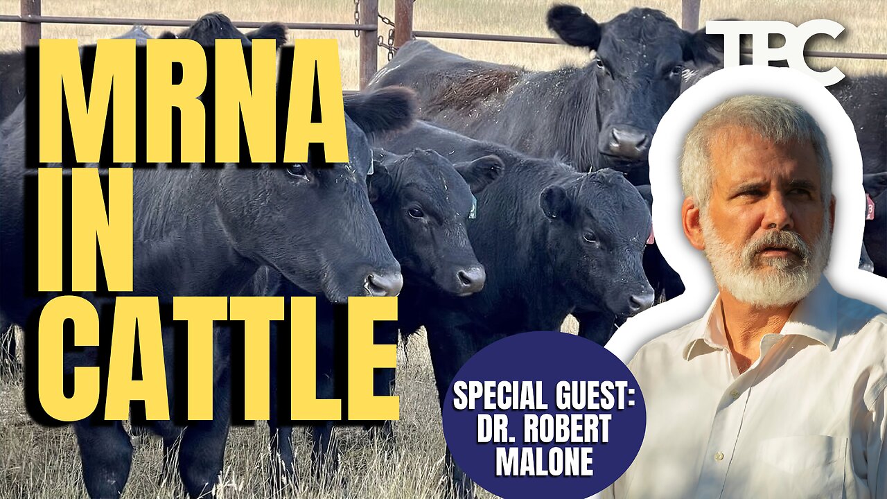 Cattle mRNA | Dr. Robert Malone (TPC #1,460)