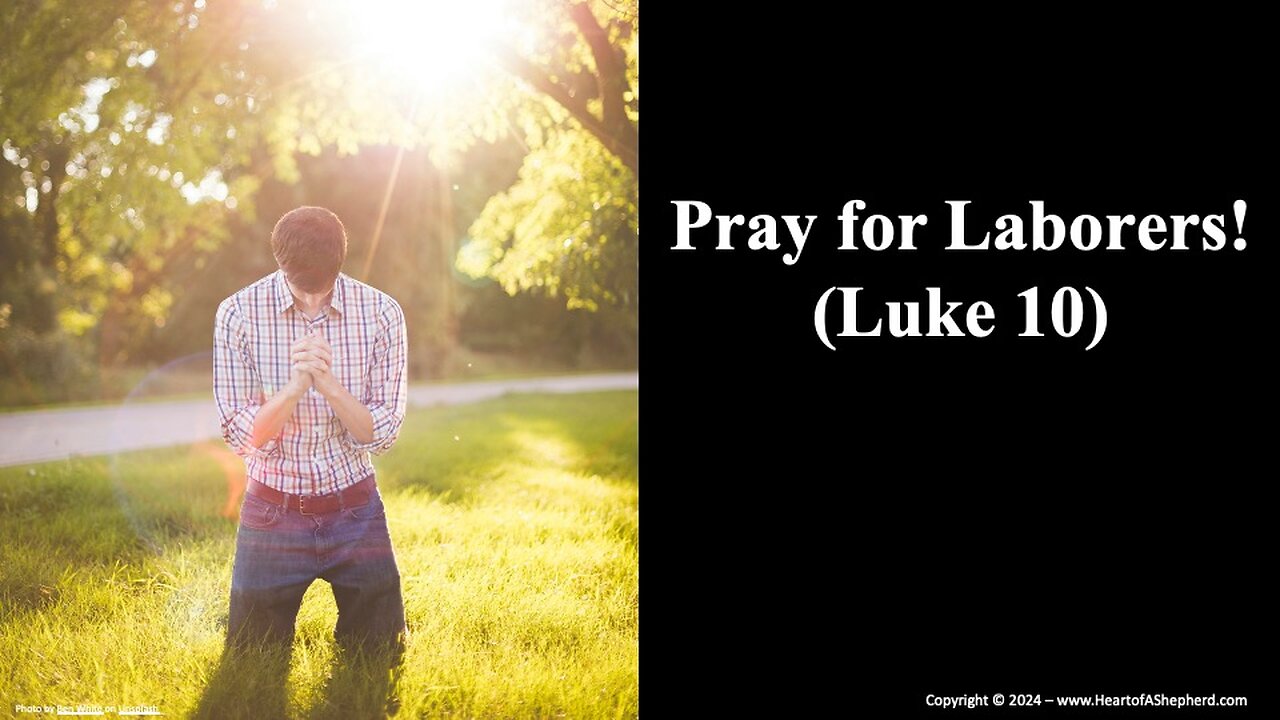 Pray for Laborers! (Luke 10) - Daily Bible study from www.HeartofAShepherd.com.