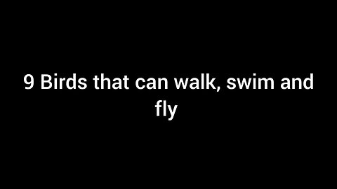 9 Birds that can walk swim and fly