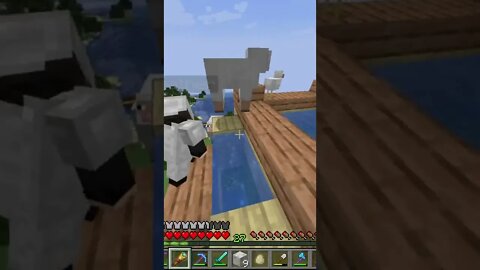 Minecraft 1.19 Survival Realms THE DEEP! New Server Fresh Start Java Edition PC SMP LP TikTok Gaming