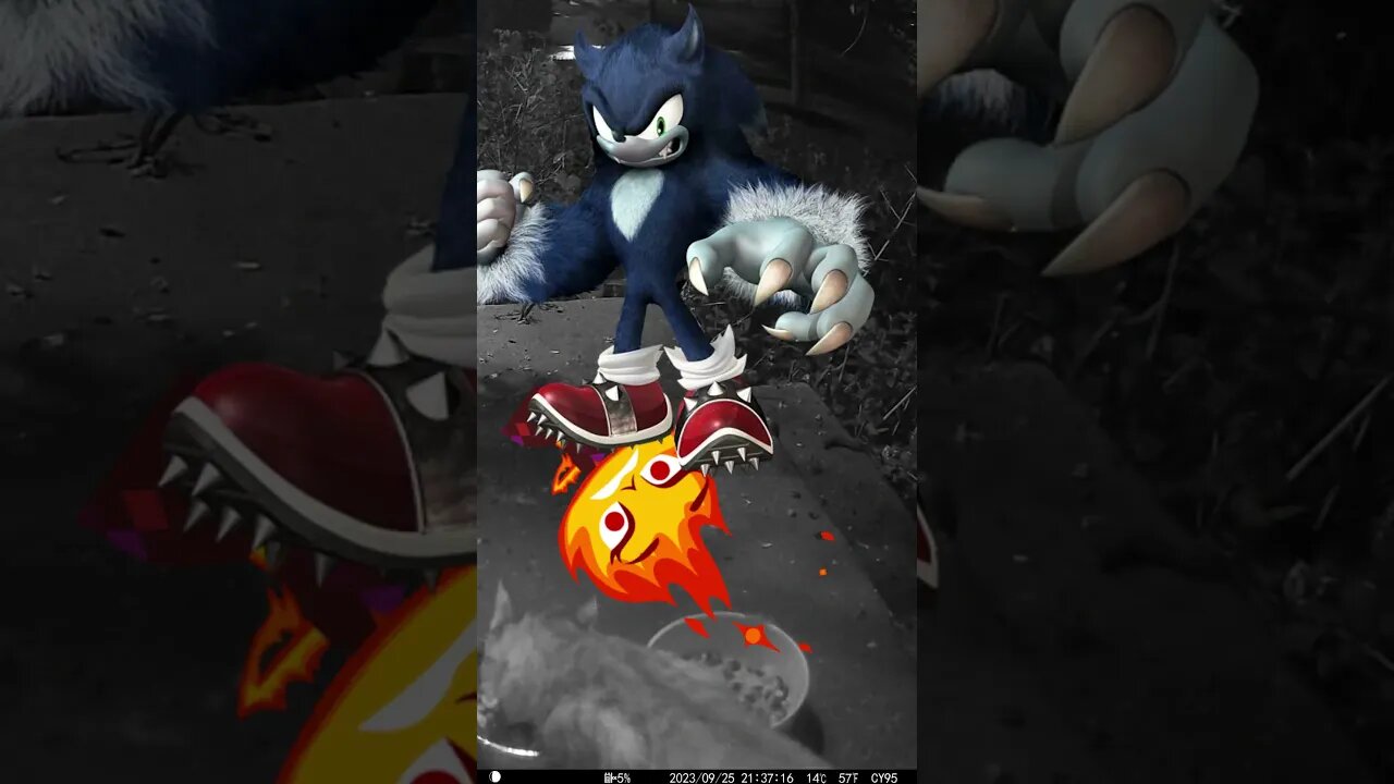 Legless Elemental Angry Ember Lumen Hates Sonic The Werehog! 🔥🐺