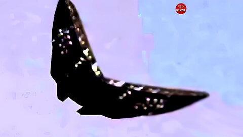 Butterfly-shaped UFO Captured on Video