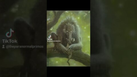 Chupacabra