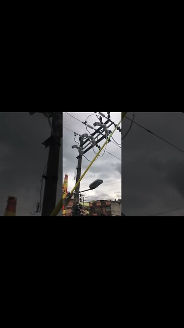 #shorts #2022 funny,prank,funjokes,dad jokes,funny memes,funny video,fun,laughing,funny animal,knock