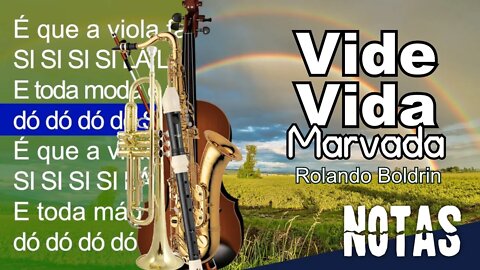 Vide vida marvada - Rolando Boldrin - Cifra melódica (C, Eb e Bb)