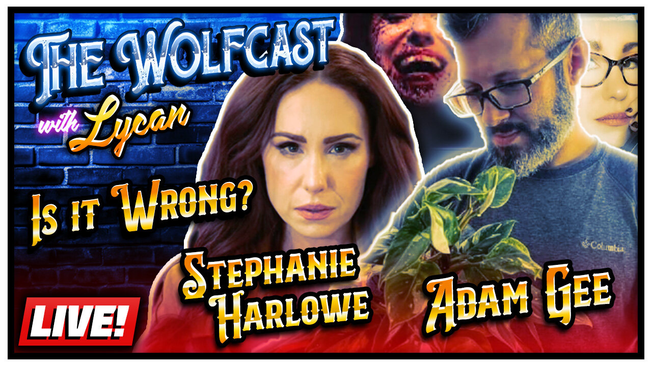 Is it WRONG to Investigate the Death of Adam? @StephanieHarlowe | The Wolfcast (11/4/2024)