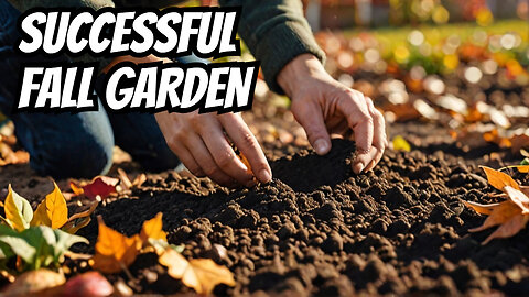 Six Steps For a Successful Fall Garden