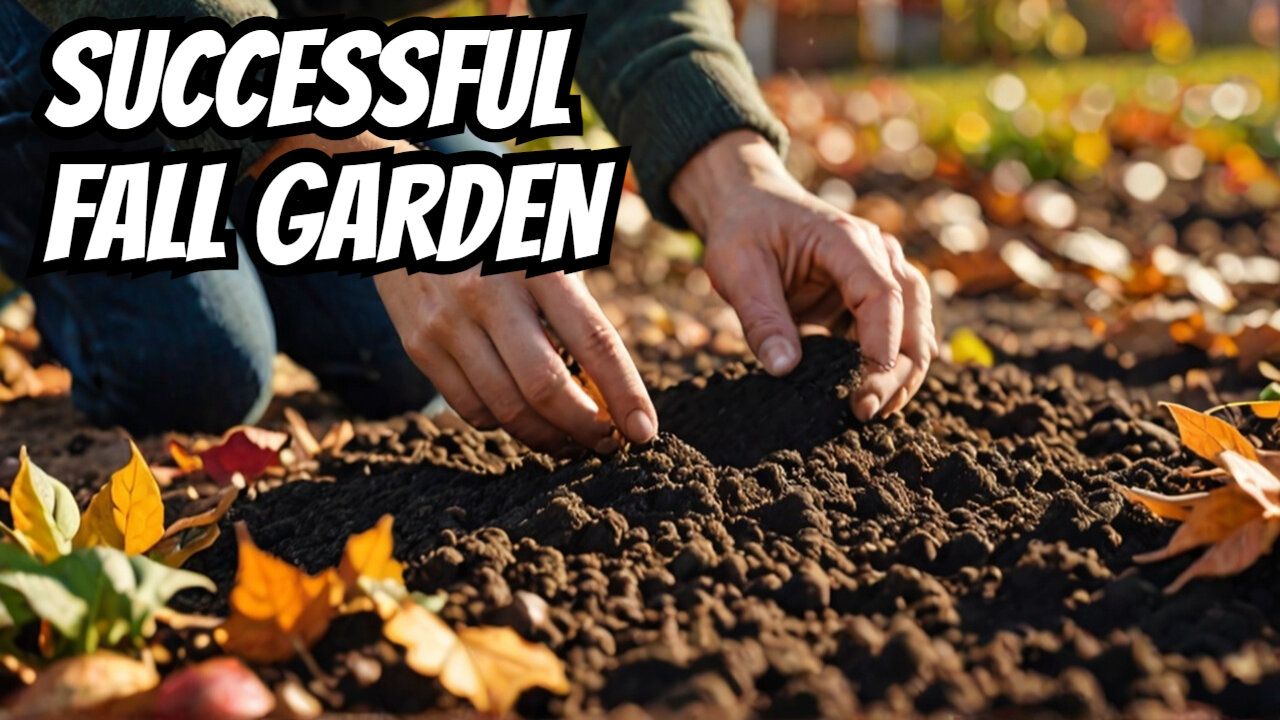 Six Steps For a Successful Fall Garden