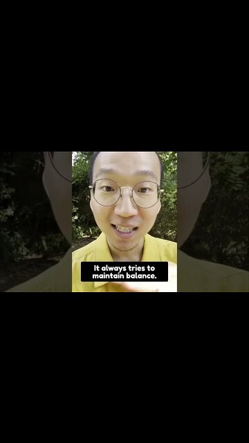 The TRUTH About Weight Loss Plateau! Subscribe to PPNutra