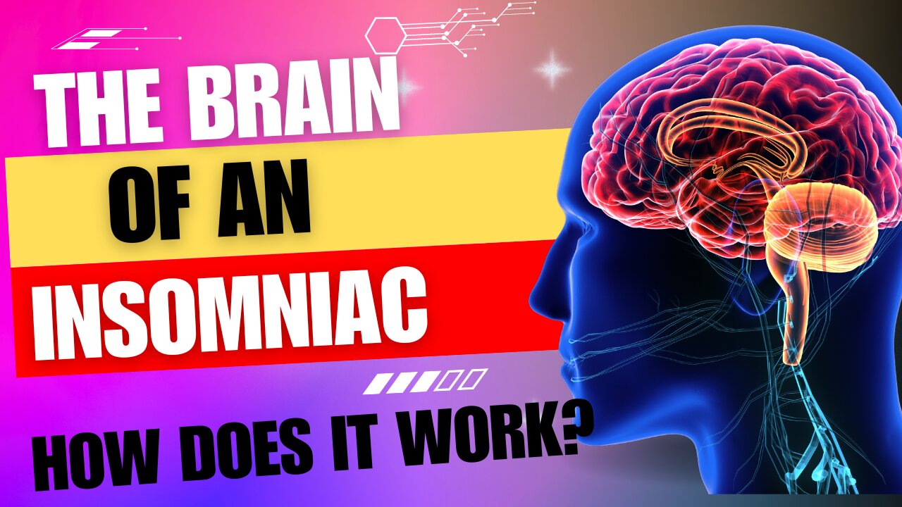 The Brain of an Insomniac